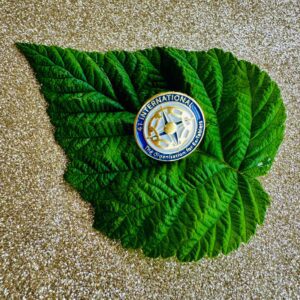 41 International pin