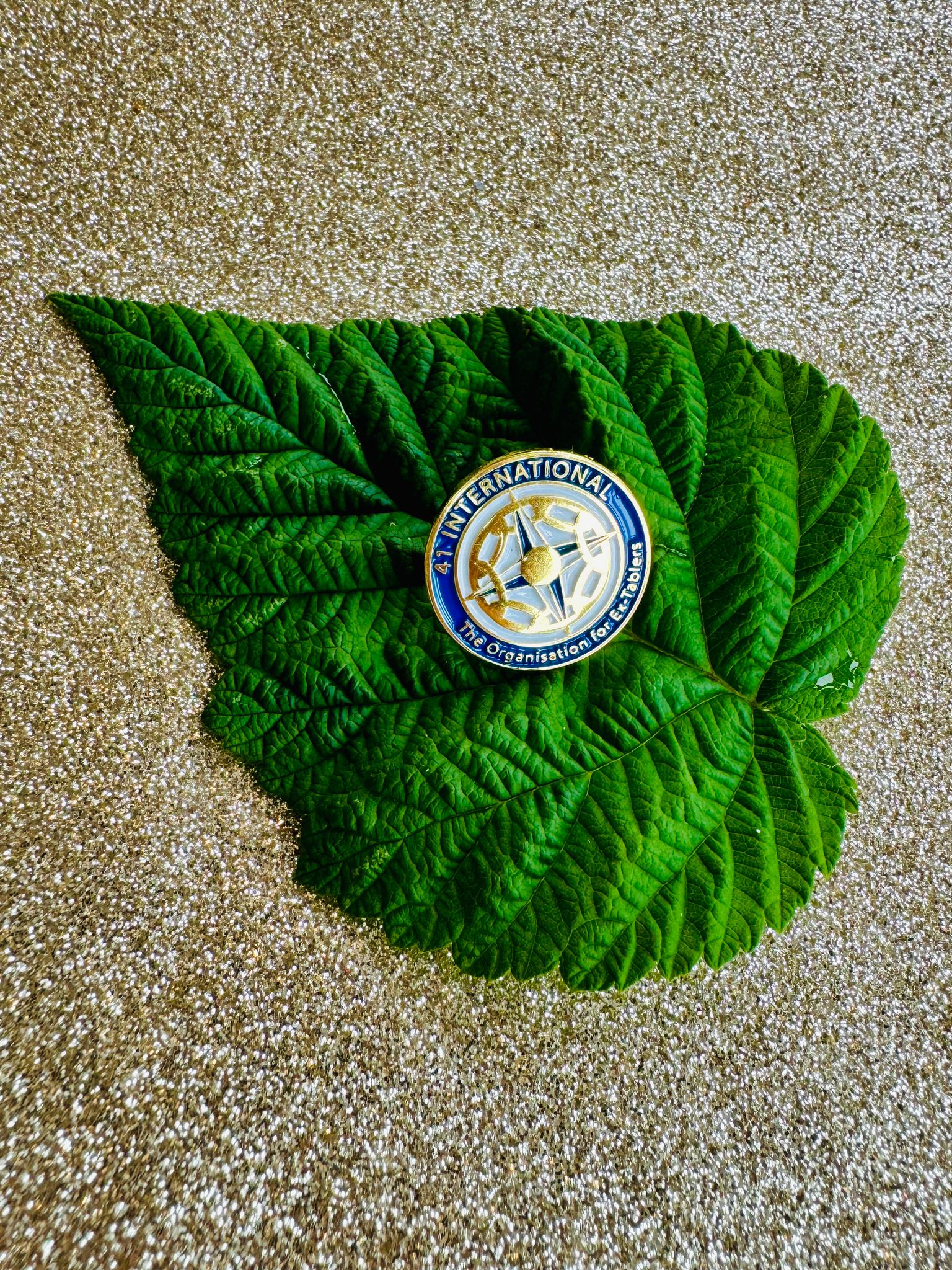 41 International pin